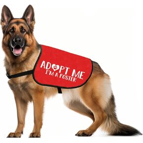 JXGZSO Adopt Me Dog Jacket Vest Adopt Me I’m A Foster Dog Jacket Vest New Puppy Dog (Adopt foster M)