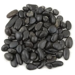 CNZ Decorative Ornamental River Black Pebble Stone for Fresh Water Fish Animal Plant Aquariums, Landscaping, Home Decor (0.5"-0.8" 5 LBS)