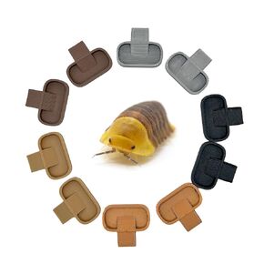 Isopod 10 Pack Feeding Dish | Isopod Food Tray | Insect Dish | Insect Feeder | CTWPets (Pastel Tones)