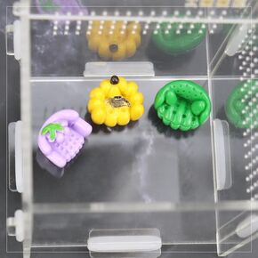 6 Pack Jumping Spider Sofa for Spoods Pet Spider Jumping Spider Bed Jumping Spider Climbing Accessories Jumping Spider Habitat Decor