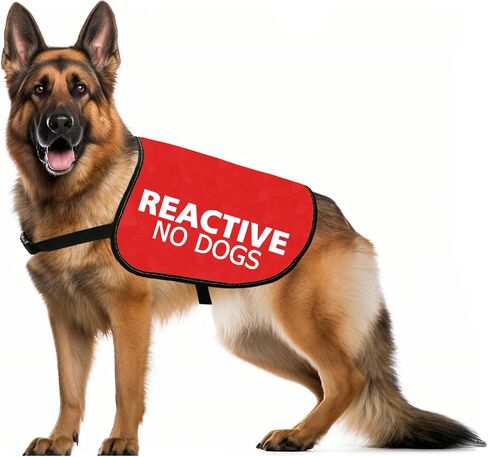 JXGZSO Reactive No Dogs Dog Jacket Vest Reactive Dog Give Me Space Walking Slogan Warning Vest (Reactive No Dogs M) in Saudi Arabia