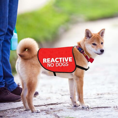JXGZSO Reactive No Dogs Dog Jacket Vest Reactive Dog Give Me Space Walking Slogan Warning Vest (Reactive No Dogs M) in Saudi Arabia