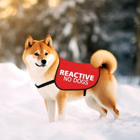 JXGZSO Reactive No Dogs Dog Jacket Vest Reactive Dog Give Me Space Walking Slogan Warning Vest (Reactive No Dogs M) in Saudi Arabia