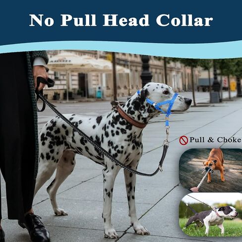 مقود أنف الكلاب غير قابل للسحب، رسن الرأس للكلاب المتوسطة والكبيرة (أزرق، M) in Kuwait
