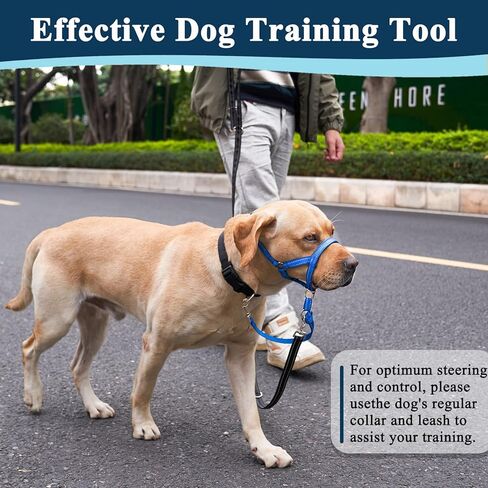 مقود أنف الكلاب غير قابل للسحب، رسن الرأس للكلاب المتوسطة والكبيرة (أزرق، M) in Kuwait