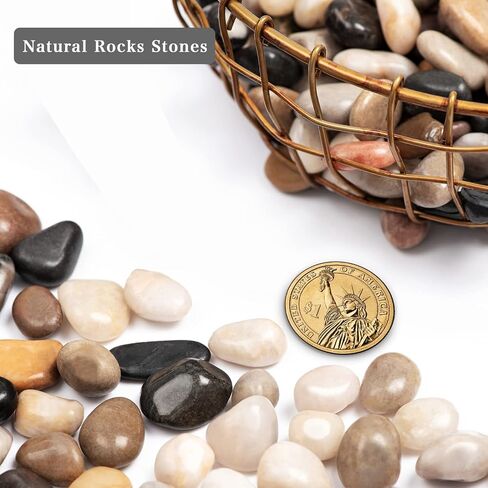 5lbs Natural River Rocks, Polished Pebbles for Plants Garden, 0.3-0.8 inch Decorative Countryside Stones, Ideal for Fish Tank, Vases, Home Decor and Garden Landscaping,Countryside in Saudi Arabia