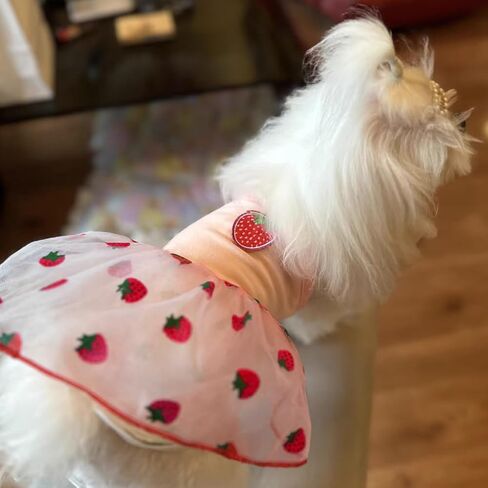 Pink Strawberry Dog Cat Dress for Small Dogs Girl Cute Dog Princess Dresses Puppy Tutu Skirt Chihuahua Teddy Pomeranian Sundress Birthday Holiday Clothes Cat Pet Wedding Outfit in Saudi Arabia