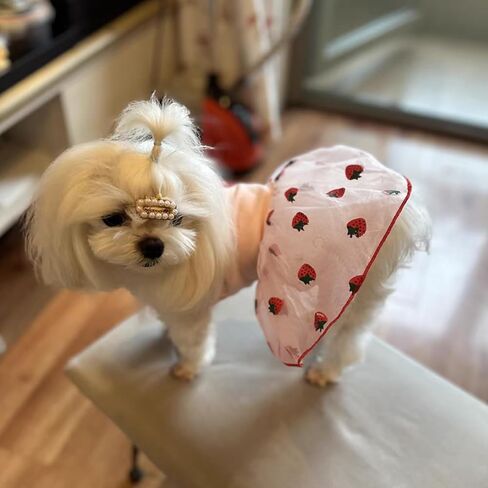 Pink Strawberry Dog Cat Dress for Small Dogs Girl Cute Dog Princess Dresses Puppy Tutu Skirt Chihuahua Teddy Pomeranian Sundress Birthday Holiday Clothes Cat Pet Wedding Outfit in Saudi Arabia