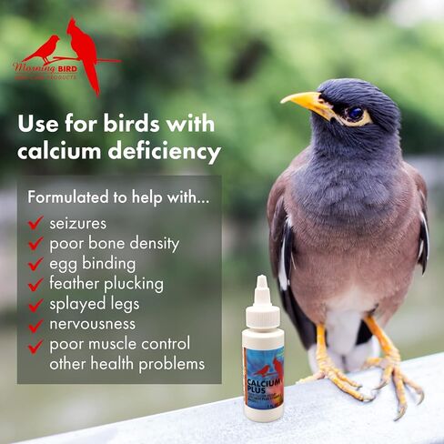 Morning Bird Calcium Plus Supplement for Avian Health, Liquid Calcium Formula with Magnesium and Vitamin D3, 2 Fl. Oz. in Saudi Arabia