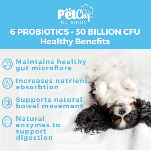 Pet Chef Probiotic Chews for Dogs-Digestive Health Support, Stops Yeast Infections, Relief for Itchy Dog Skin & Ears, Probiotics & Enzymes for Dog Gut Health - Natural Vitamins & Dog Supplements in Saudi Arabia