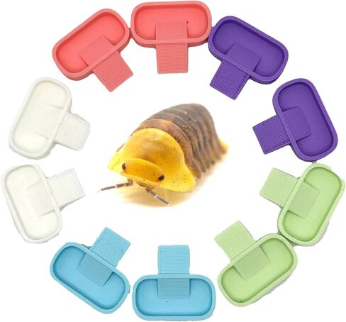 Isopod 10 Pack Feeding Dish | Isopod Food Tray | Insect Dish | Insect Feeder | CTWPets (Pastel Tones) in Saudi Arabia