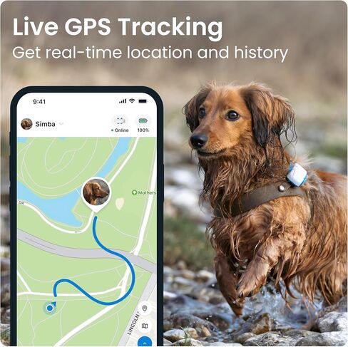 Tractive GPS Dog LTE (4) Hard Cover - Bow Tie in Saudi Arabia
