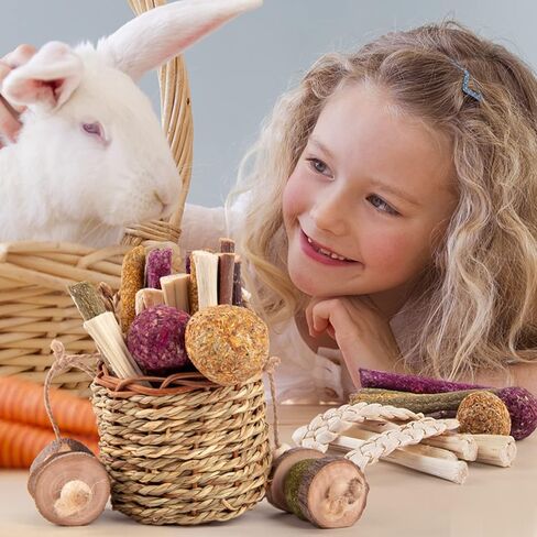 Sofier Rabbit Toys Bunny Toys Hamster Toys Guinea Pig Toys Natural Seagrass Hanging Basket with Timothy Hay Treats Handmade Chew Toys for Teeth Enrichment Chinchilla Rat in Kuwait
