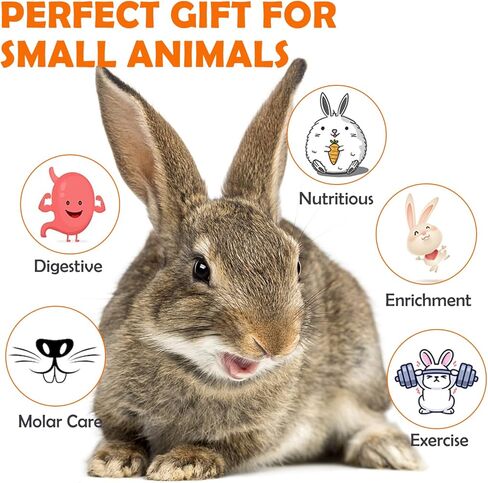 Sofier Rabbit Toys Bunny Toys Hamster Toys Guinea Pig Toys Natural Seagrass Hanging Basket with Timothy Hay Treats Handmade Chew Toys for Teeth Enrichment Chinchilla Rat in Kuwait