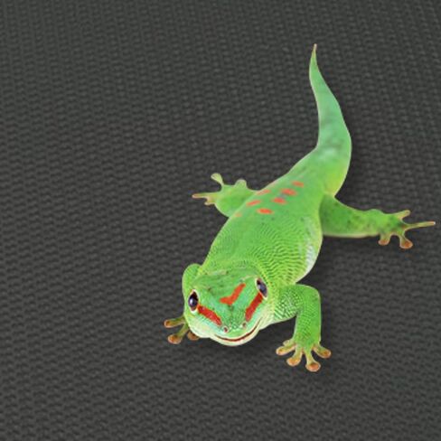 Hamiledyi Large Reptile Carpet Reptile Mat Terrarium Liner Bedding Substrate Mat Leopard Gecko Substrate Bearded Dragon Tank Flooring for Bearded Dragon,Gecko,Lizard,Tortoise (17.5"X 78.7" Black) in Saudi Arabia