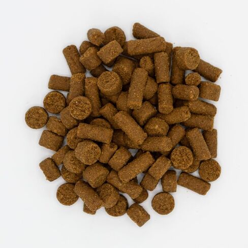 Oxbow Real Prey Rewards Crunchy & Chewy Chicken Ferrets Treats - Delicious Ferret Treat - Made in The USA - 3-oz in Saudi Arabia