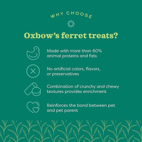 Oxbow Real Prey Rewards Crunchy & Chewy Chicken Ferrets Treats - Delicious Ferret Treat - Made in The USA - 3-oz in Saudi Arabia