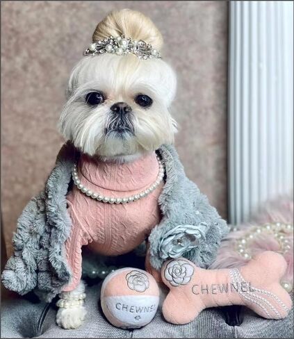 Bone Squeaky Dog Toy for Aggressive Chewers - Fashion Luxury Design Chewing Squeaky Sounding Bone Training Pet Toy - Dog Plush Dental Chew Toy for Small, Medium, Large Breed (Sniffany & Co.) in Saudi Arabia