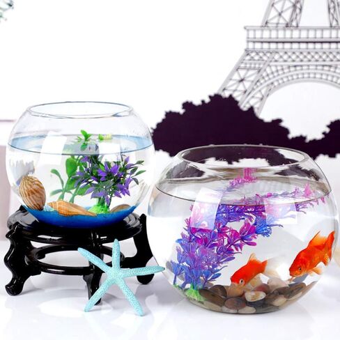 POPETPOP Globe Fish Bowl Glass Bowl Goldfish Tank 2 Gallon Fish Tank Fish Bowl Mini Vase Betta Fish Tank Fish Bowls for Betta Fish Clear for Flowers Green Dill Container in Saudi Arabia