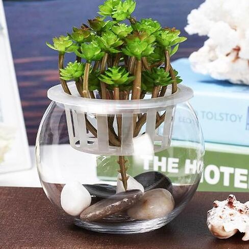 POPETPOP Globe Fish Bowl Glass Bowl Goldfish Tank 2 Gallon Fish Tank Fish Bowl Mini Vase Betta Fish Tank Fish Bowls for Betta Fish Clear for Flowers Green Dill Container in Saudi Arabia