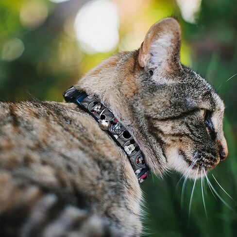 Buckle-Down Breakaway Cat Collar - Mickey & Minnie Peek-a-Boo Expressions Swirl Black/White - 1/2" Wide - Fits 8-12" Neck - Medium in Saudi Arabia