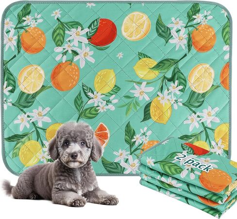 BVAGSS Washable Pee Pads for Dogs, 2 Pack Reusable Leakproof Puppy Wee Wee Pads, Non-Slip Waterproof Pet Training Pads, Super Absorbent Whelping Pads XH081 (Green Lemon,24''x18'') in Saudi Arabia