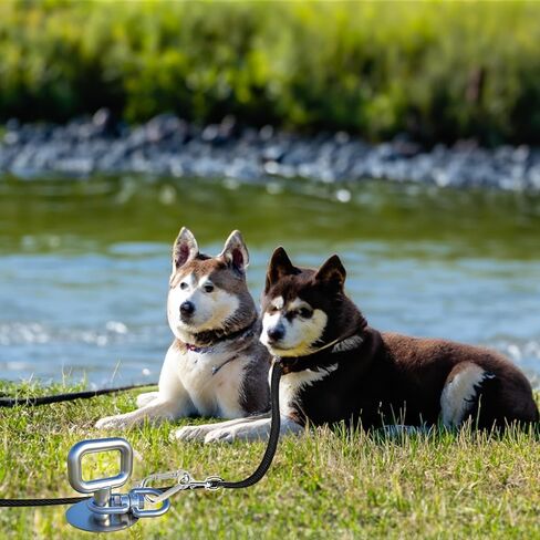 Dog Tie Out Stake,360°Swivel Dog Runner for Yard,Dog Run Anchors for Large Dogs up to 200 lbs,Dog Leads for Yard Heavy Duty-Use Any Dog Tie Out Cable or Yard Leash/Sand/Beach/Camping in Saudi Arabia