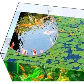 Aquarium Floating Plant Corral, Floating Plant Fence for Aquarium Fish Tank Accessories, Separates Floating Plants, Intercepting Floating Plants, Suitable for All Floating Plants and Aquariums,1pcs in Kuwait