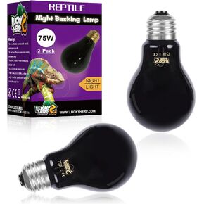 LUCKY HERP Reptile Heat Lamp 50W 2 Pack, Reptile Night Heat Bulb, Reptiles & Amphibians Basking Spot Light Bulb for Bearded Dragon, Lizard, Snake, Turtle, Chameleon in Saudi Arabia