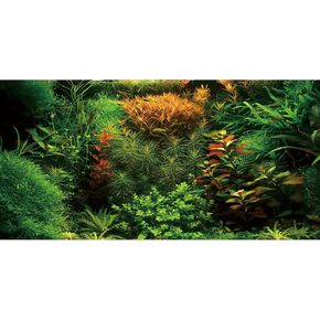 AWERT 48x24 inches Aquarium Background Seagrass Aquarium Background Aquatic Plant River Bed & Lake Fish Tank Background Vinyl Background
