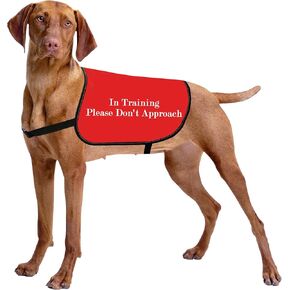 HOLLP Training Dog Jacket Vest in Training Please Don't Approach Dog Jacket Dog Walking Jacket Warning Vest (in Training Don't Approach-Medium)