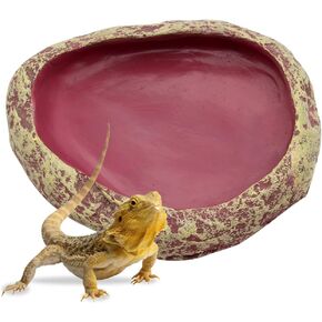 Reptile Feeder Large Food Resin Bowl Water Dish Rock Worm Feeder Dish, Amphibian Feeding Bowl Decor for Lizards, Chameleon, Leopard Gecko, Frog, Bearded Dragons, Snake, Hermit Crabs (M)