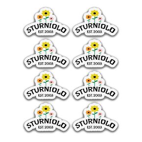 (8PCS) Sturniolo Triplets Merch Sturniolo Triplets 2003 Sticker 2x2 in