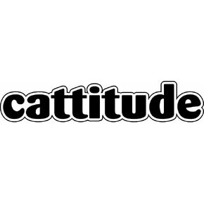 Cattitude Car Magnet, 7-Inch by 2-Inch