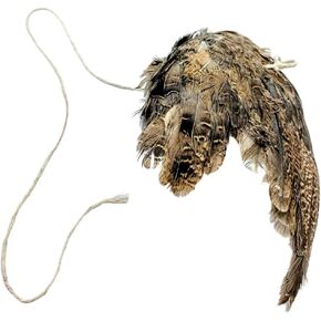 Wing on String Cat Toy - Real Bird Wing Dog Training Supplies & Accessories, Quail Wing Bird Scent Interactive Play for Cats, Hunting Dog Training Bird Retrieval Cat Trainer