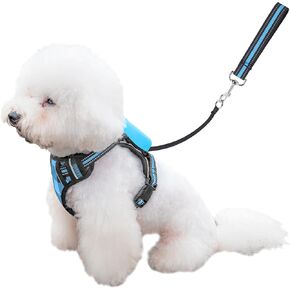 Dog Harness and Leash Set |Dog Vest Harness with 6 ft Multifunction Retractable Dog Leash | with One-Button Control,One-Handed Brake, Tangle Free (S)