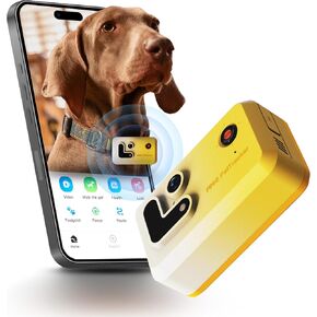 ROLA PetTracker GPS Tracking for Dogs: Live GPS Location, Cellular & WiFi, Replacable SIM Card, Geofencing, Built-in Light and Sound, Camera for Image Positioning (Dark Blue)