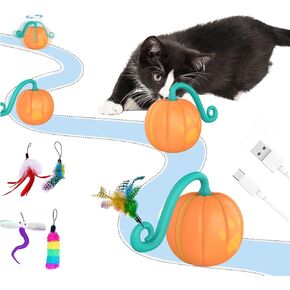 Interactive Cat Ball Toy for Bored Indoor Cat, Automatic Moving Cat Ball with 4 Feather & LED Flash Lights, Smart Sound and Touch Control, USB-C Rechargeable