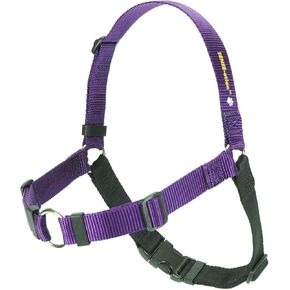 Softouch Sense-ation No-Pull Dog Harness - 1" Medium/Large