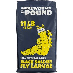 Dried Black Soldier Fly Larvae (11 lbs) - More Calcium Than Mealworms - Treats for Chickens, Wild Birds, & Reptiles
