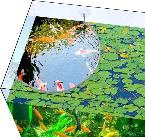 Aquarium Floating Plant Corral, Floating Plant Fence for Aquarium Fish Tank Accessories, Separates Floating Plants, Intercepting Floating Plants, Suitable for All Floating Plants and Aquariums,1pcs in Kuwait