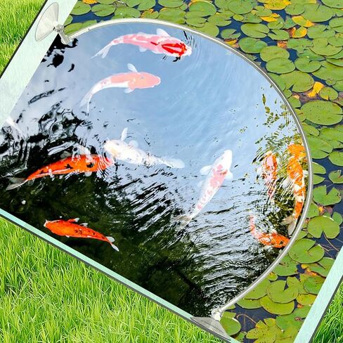 Aquarium Floating Plant Corral, Floating Plant Fence for Aquarium Fish Tank Accessories, Separates Floating Plants, Intercepting Floating Plants, Suitable for All Floating Plants and Aquariums,1pcs in Kuwait