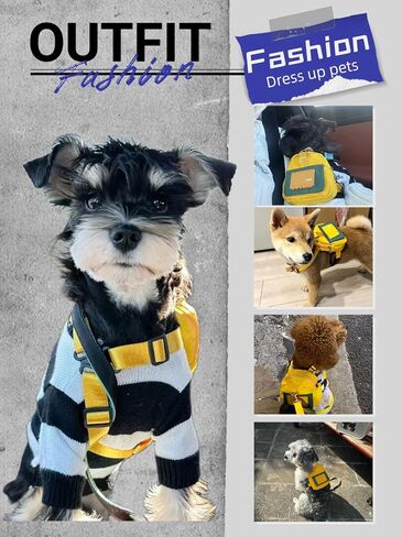 Cute and Functional Pet Outing Backpack with Adjustable Width and Water-Resistant Fabric. (Blue, Medium) in Saudi Arabia