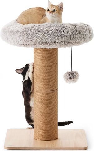 FUKUMARU Cat Scratching Post with Plush Bed, 2 in 1 Tall Kitten Scratch Post with Jute Rope, 5.5 Inch Width Sturdy Claw Scratch Pole with Perch, Cat Tree with Bed for Most Cats in Saudi Arabia