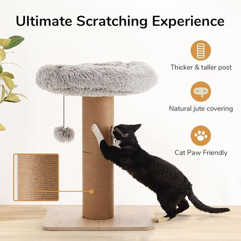 FUKUMARU Cat Scratching Post with Plush Bed, 2 in 1 Tall Kitten Scratch Post with Jute Rope, 5.5 Inch Width Sturdy Claw Scratch Pole with Perch, Cat Tree with Bed for Most Cats in Saudi Arabia