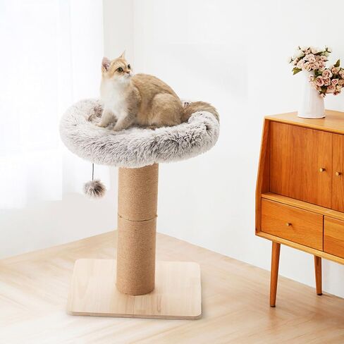 FUKUMARU Cat Scratching Post with Plush Bed, 2 in 1 Tall Kitten Scratch Post with Jute Rope, 5.5 Inch Width Sturdy Claw Scratch Pole with Perch, Cat Tree with Bed for Most Cats in Saudi Arabia