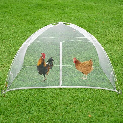 78 × 39 بوصة حظيرة دجاج محمولة، جدران شبكية كبيرة، خيمة دجاج قابلة للتنفس، روضة دجاج، قفص دجاج للحيوانات الأليفة للدواجن والأرنب in Kuwait