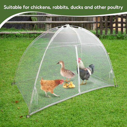 78 × 39 بوصة حظيرة دجاج محمولة، جدران شبكية كبيرة، خيمة دجاج قابلة للتنفس، روضة دجاج، قفص دجاج للحيوانات الأليفة للدواجن والأرنب in Kuwait