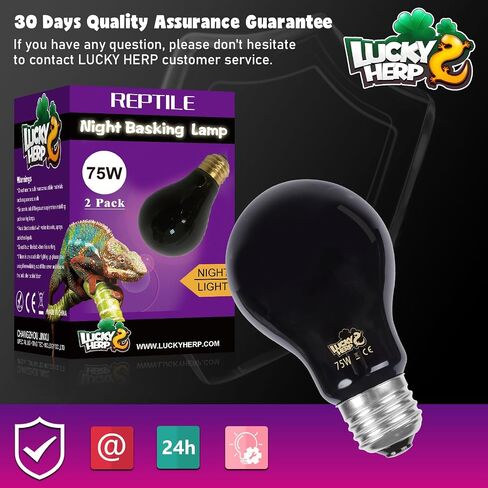 LUCKY HERP Reptile Heat Lamp 50W 2 Pack, Reptile Night Heat Bulb, Reptiles & Amphibians Basking Spot Light Bulb for Bearded Dragon, Lizard, Snake, Turtle, Chameleon in Saudi Arabia