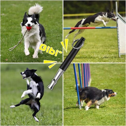 2PCS Ultrasonic Dog Whistle - Dog Whistle to Stop Barking Neighbors Dog, Dog Whistle to Make Dogs Come to You, Silent Dog Whistle Training for Recall, Dog Whistle to Scare Dogs Away (Black&White) in Saudi Arabia
